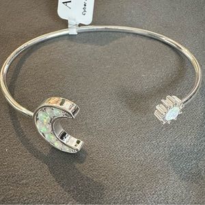 Alex and Ani Cyber Monday Moon and Sun Flex Cuff